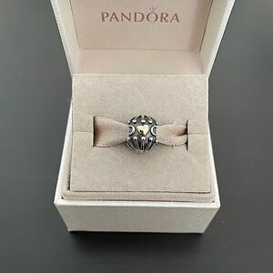 Pandora Hugs and Kisses Charm